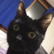いけだ