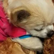 みさ
