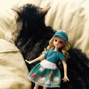 MuuMの画像