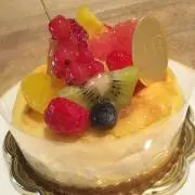 蝶の画像