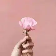 そるとの画像