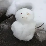 たくあん⭐︎引っ越し断捨離中⭐︎の画像