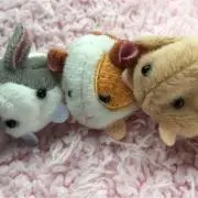 ワタルンふうふ^ ^の画像