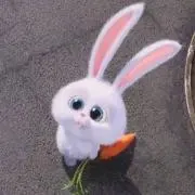 ぽにの画像