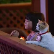 futikoratoの画像