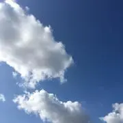 miccoの画像