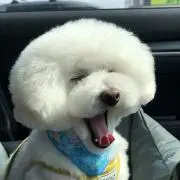 もふろうの画像
