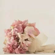 らんどの画像