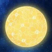 Wai.auの画像