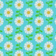 マーガレット