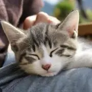 断捨離♡の画像