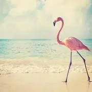 Poo♡