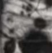 上條の画像