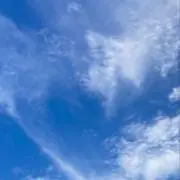 てぃ※紹介文をご一読下さいの画像