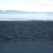 桃太郎先輩