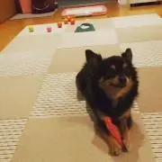 maykoの画像