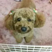 Coco.mocoママ