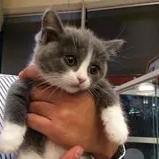 ひさこ