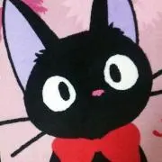 猫好き