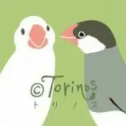 TORINOS2002