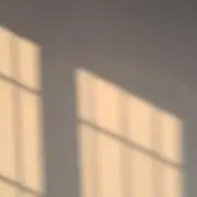 Rの画像