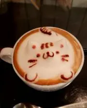 scorpioの画像