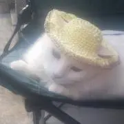 うたくんの画像