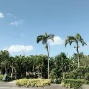 smnarの画像