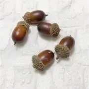 blancobotonの画像