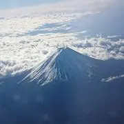 Heart of Flower【プロフ】