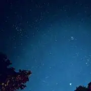 ぐらんの画像