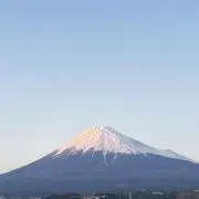 ミカミカン♪
