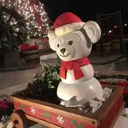 Senaの画像