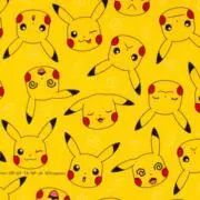 pikaの画像