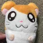 ひろの画像