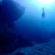 かっつー