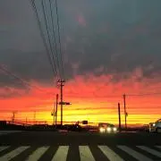 miyaの画像