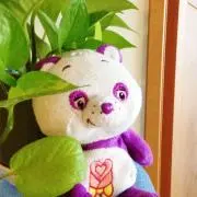 コムク