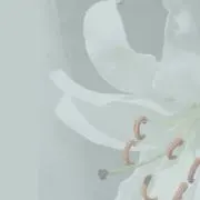 ami*【PROFILE閲覧参照】