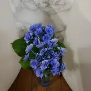 らすくの画像