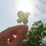 ちょび