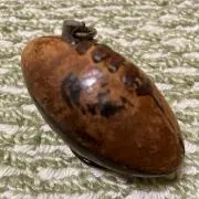 shinoＴ9の画像