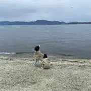 まーこの画像