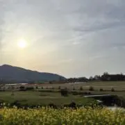 りの画像