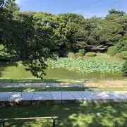 うぬの画像