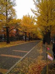 kumaの画像