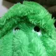 すけすけ