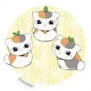 もっぴーの画像