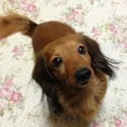 ミシェル