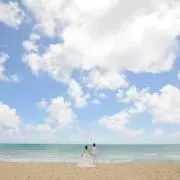 るるの画像